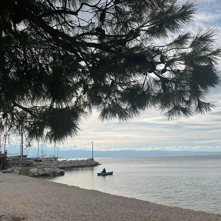 Lavanda Sumpetar Jesenice (Split-Dalmatia)